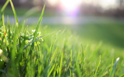 Brossard confirme ses actions environnementales