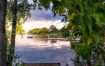 Parc Léon-Gravel: Brossard souhaite acquérir les terrains du Fédéral